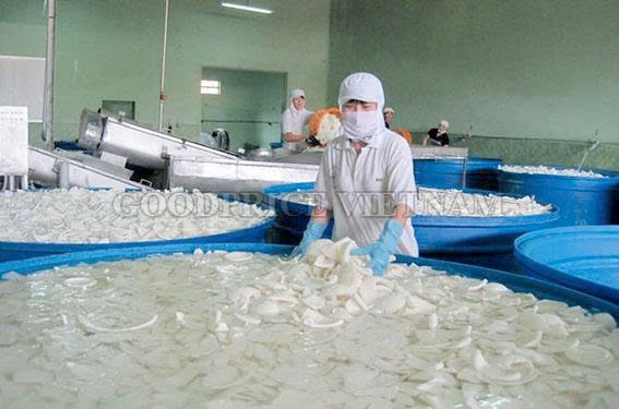 Team Member 3 - Packaging & Handling